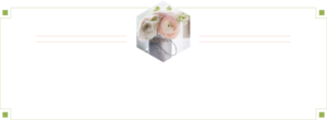 Grossiste en fournitures pour fleuristes
