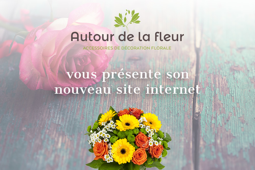 Autour de la fleur, nouveau site