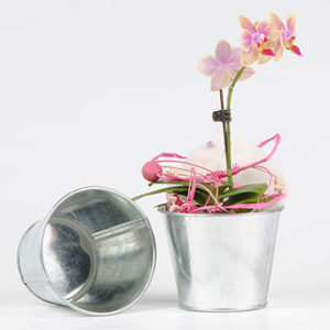 Cache pot en Zinc Diamètre 10cm
