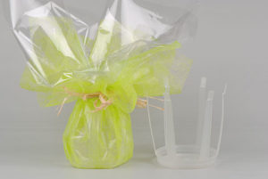 Rapid' eau en 16cm