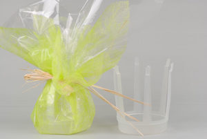 Rapid' eau en 14cm