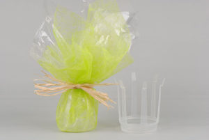Rapid' eau en 10cm
