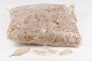 plume beige