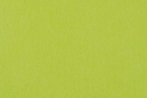 feuille de soie vert pomme