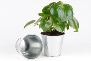 Cache pot en zinc Diamètre 11cm
