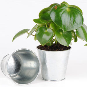 Cache pot en zinc Diamètre 11cm