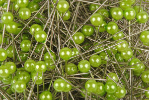 épingle perle 6 mm vert pomme
