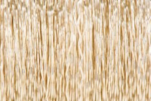 fil bouillon champagne