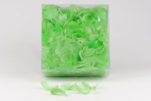 Plume verte