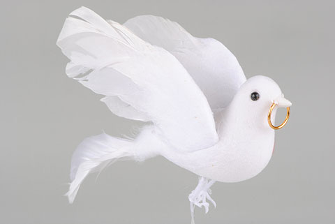 Colombe Avec Anneau Autour De La Fleur Accessoires De Décoration