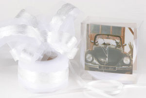 noeud geant auto blanc