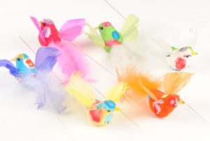oiseau plume x6