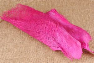 palm faser fushia