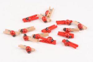 pince coccinelle