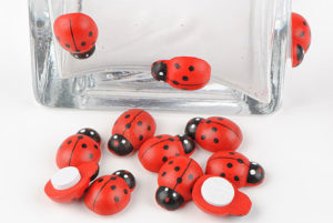 coccinelle à coller