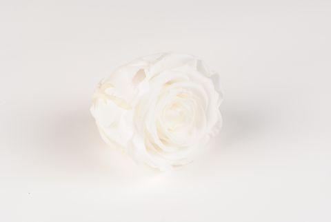 rose eternelle blanche - Autour de la fleur : Accessoires de décoration