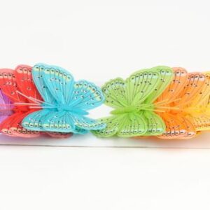 papillon coloré