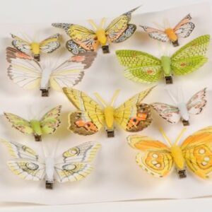 papillons assortis