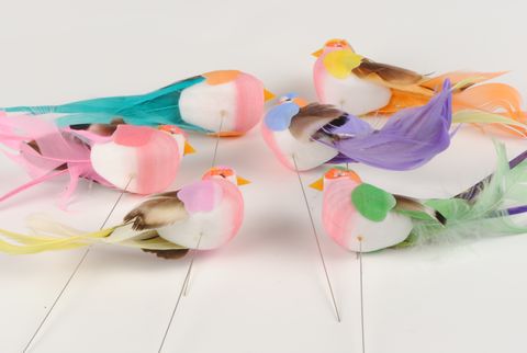 Oiseaux Décoratifs - Autour de la fleur : Accessoires de décoration