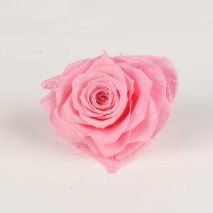 rose eternelle coeur rose